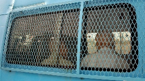 Notícias ao Minuto Brasil - Esporte - França condena ex-jogadores de rúgbi a até 14 anos de prisão por estupro