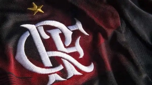 Notícias ao Minuto Brasil - Esporte - Flamengo embala com bom futebol, e Jardim propõe 'casamento' por time ideal