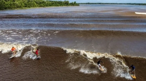Notícias ao Minuto Brasil - Esporte - Surfistas pegam onda na pororoca no Pará