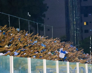 ge - Paysandu inicia venda de ingressos para duelo contra Confiança pela Série C