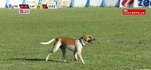 ge - Cachorro invade campo em jogo entre Iguatu e Nacional-AM pelas oitavas da Série D; assista