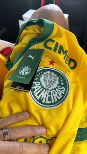 ge - Palmeiras acerta com novo patrocinador para a camisa; veja valores do acordo