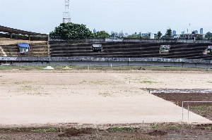 ge - Estádio Morenão: fotos mostram novo gramado começando a brotar após plantio; veja