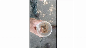 ge - Torcidas rivais se reúnem para churrasco durante o Campeonato Brasileiro